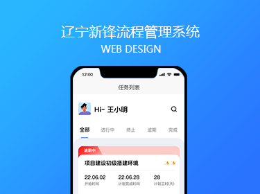 遼寧新鋒流程管理系統開發(fā)案例